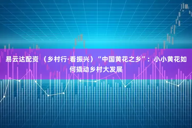 易云达配资 （乡村行·看振兴）“中国黄花之乡”：小小黄花如何撬动乡村大发展