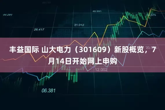 丰益国际 山大电力（301609）新股概览，7月14日开始网上申购