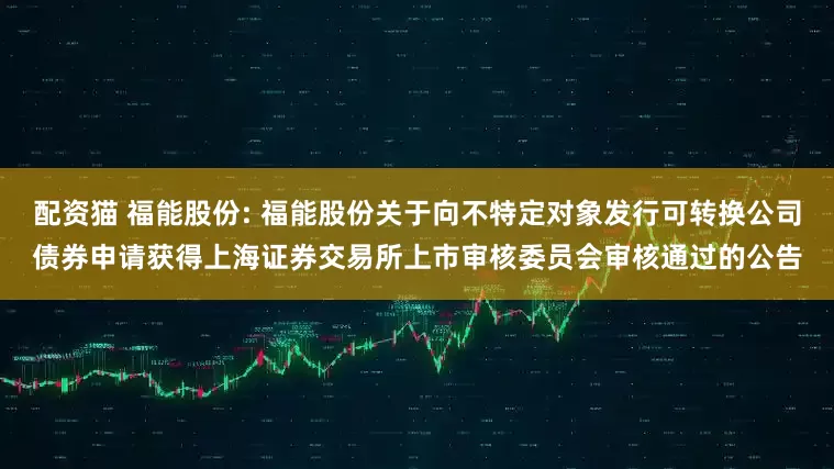 配资猫 福能股份: 福能股份关于向不特定对象发行可转换公司债券申请获得上海证券交易所上市审核委员会审核通过的公告