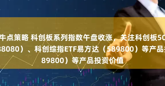 牛点策略 科创板系列指数午盘收涨，关注科创板50ETF（588080）、科创综指ETF易方达（589800）等产品投资价值